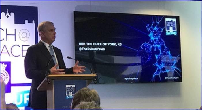 pitchpalace-3.jpeg